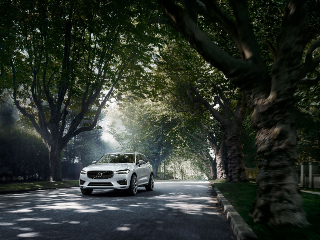 271810402072.png TIM00241-ÖÐͼ.png